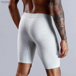 Underpants 2023 New Style Cotton Boxer Long Leg Underwear For Man Shorts Big Size And Panties Homme Luxury Brand Boxerhomme YQ240214