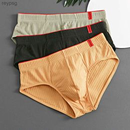 Underpants 2023 New Cotton Mens Briefs Plus Size Men Underwear Panties 3XL Breathable Stretch Solid Sexy Comfortable Shorts YQ240214