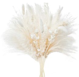 White Natural Pompas Floral Dry Flower Wedding Bouquet Boho Style Home Pampas Decor for Table Party Living Room Office Bedroom 240127