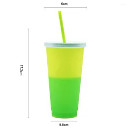 Tumblers Great Water Bottle With Lid Straw Large Capacity Discoloration Cup Long Lasting No Odour Colour Changing For Kitchen