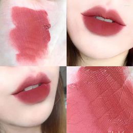 Lip Gloss Colors Sexy Matte Lipsticks Waterproof Long Lasting Non-Stick Cup Liquid Lipstick Korean Makeup Cosmetics