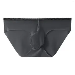 Underpants Men's Briefs Sexy Panties Breathable Ice Silk T-Back Male U Convex Lingerie Bulge Pouch Men Underwear 4xl