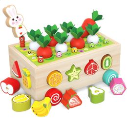 Selling Magnetic Fishing Wooden Radish Fruit Cart Shape Matching Blocks Montessori Educational Toys For Children 240118