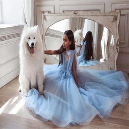 Girl Dresses Blue Puffy Flower DressesFor Wedding Lace Appliqued Toddler Pageant Ball Gown Tulle First Communion