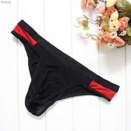 Briefs Panties Mens Sexy Micro Mesh Soft Breathable Underwear Bikini See-through YQ240215