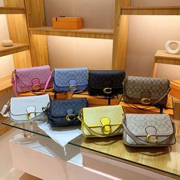 New Women s Tabby Printed Small Square Fashion Crossbody Bag Handheld Trendy Underarm factory direct sales