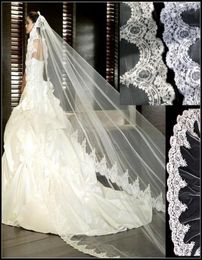 Luxury White Ivory Wedding Veil Bridal Veil Lace Appliqued 3 Metres Cathedral Long Veils For Wedding Dress8722718