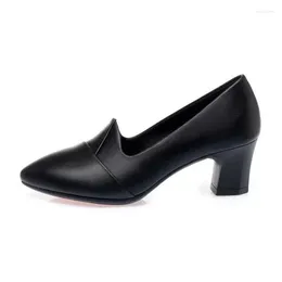Dress Shoes 2024 Women Fashion High Quality Black Pu Leather Office Lady Cool Heel Pumps For Party