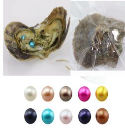 Double pearls 30 Colors 67MM Twin Pearls in Saltwater Oysters Akoya Oysters DTY jewelry making gifts for lover2821944