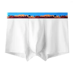 Underpants Boxer Shorts Men'S Panties Pure Cotton Briefs Open Underwear Boxershorts Soft Panty Boxers Homme