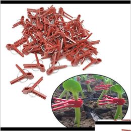 Other Garden Supplies Patio Lawn Home Drop Delivery 2021 100Pcs Plant Grafting Clip Plastic Gardening Tool For Cucumber Eggplant Dhx0O