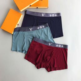 Designer Eities maschile classiche biancheria intima pantaloni boxi a colori solidi cotone trasparente mutande comode tre pezzi con scatola 02109