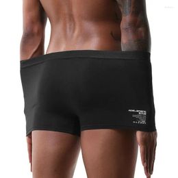 Underpants Modal Men's Underwear Breathable Panties Boxer Briefs Sports Undies Plus Size Calsoncillos Para Bikini Hombre