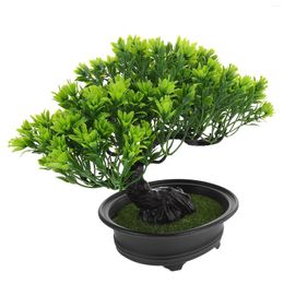 Decorative Flowers Simulation Welcome Pine House Plants Imitation Bonsai Ornament Home Decoration Tree Household Artificial Plastic Office