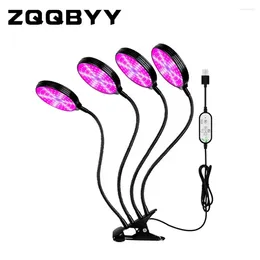 Grow Lights 2 Year Warranty LED Light Full Spectrum 5V USB With Bracket For Indoor Plant Flower Seedling VEG Tent Phyto Lamp Fitolampy