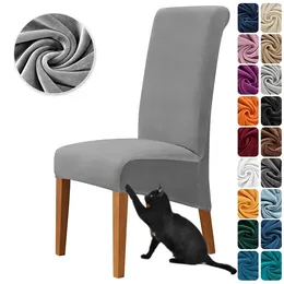 Chair Covers 1 Pc Velvet Stretch Dining Cover Elastic Super Soft High Back Universal For Living Room Wedding El Decor