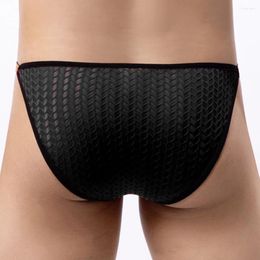 Underpants Mens Low Rise Bikini Briefs Bulge Pouch Underwear Hight Cut Seamless Mesh Ultra-thin Panties Sheer Erotic Lingerie