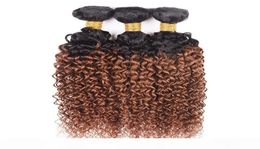 Brazilian Virgin Hair Ombre Weave 3 Bundles Kinky Curly 1B 30 Medium Auburn Colour Unprocessed Malaysian Peruvian Curly Human Hair 6095961