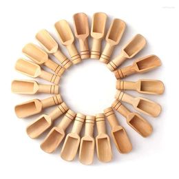 Coffee Scoops Small Wooden Spoon Milk Powder Wood Salt Measuring Tea Seasoning Spoon(12Pcs)