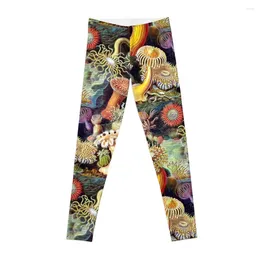 Active Pants Haeckel Illustration Leggings Sportswear For Gym Women's Tights Womens