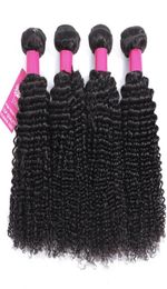 Kinky Curly Straight Body Wave Loose Wave Deep Wave Virgin Hair Wefts Natural Black Brazilian Curly Virgin Human Hair9679395