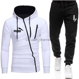 Men's Tracksuits Fashionable mens new autumn/winter sweater zipper stand collar hat sweater jacket and mens casual pants two-piece set T240217