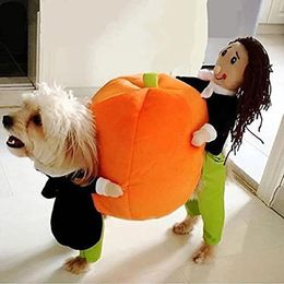 Cat Costumes Halloween Pumpkin Funny Pet Clothes Costume Cosplay Special Events Clothing Suit Dog Cute Carrier