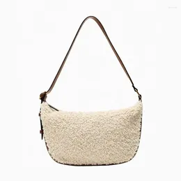 Evening Bags Women's Fur Handbag Fashion High-End Atmosphere Autumn And Winter Plush Shoulder Bag Messenger