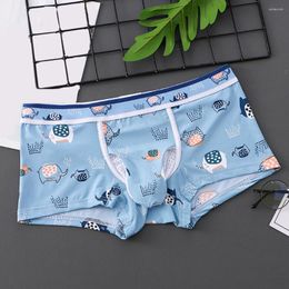 Underpants Sexy Men Boxers Mid-rise Short Underwear Sheath Cover Up Pouch Briefs Mesh Ultra-thin Breathable Elasticity Knickers