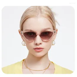 Sunglasses Adult European And American Wind Trend Street Po Candy Colour Cat Eye Ins Personality