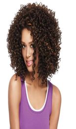 Cheap Highlights Black Brown Short Curly Wig For Black Women Heat Resistant Synthetic Afro Kinky Curly Hair1812618