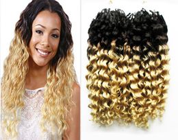 Brazilian Deep Curly hair micro loop 1g curly ombre Human hair extensionsi T1b613 200g 1gs 200s virgin micro loop hair extension8366067