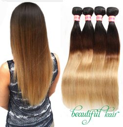 Blonde Brazilian Virgin Straight Hair Bundles Ombre Human Hair Extensions 1B27 1B30 1B99J 1B427 Hair Products7698593