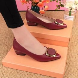 Dress Shoes Elegant Low Heels Pumps Women Pointed Toe Shallow Slip On Comfort Lady High Party Wedding Office Large Size 41