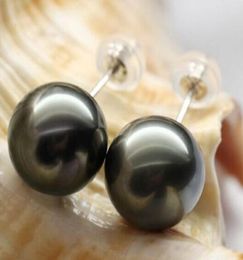 pearl Jewellery charming huge 1011mm tahitian black round pearl earring 18k2391726