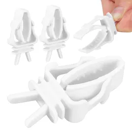 Other Bird Supplies 4pcs Fruit Vegetable Fixing Clips Cage Food Feeder Clip