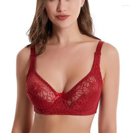 Bras 2024 Sexy Push Up 36/80 38/85 40/90 42/95 44/100 46/105 48/110 50/115 CDEFG Cup Underwear For Women Plus Size Lingerie