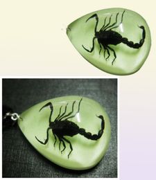 yqtdmy 12 pcs Insect Fashion scorpion pendant style luminous small adorn article59417536175867