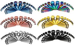 36PcsSet 6 Styles Ear Gauge Taper And Plug Stretching Kits Flesh Tunnel Expansion Body Piercing Jewellery Earring 14G00G G79L3114345