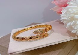 Hot selling product S925 silver plated Python bracelet with zircon inlaid 18K shape classic elegant fashion ball lady Bracelet4906894