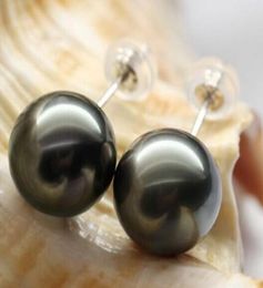 pearl jewelry charming huge 1011mm tahitian black round pearl earring 18k6678616