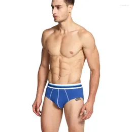 Underpants Men's Briefs Cotton Colour Brand Clothing Underwear Shorts Factory Wholesale Sexy Men