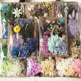 Decorative Flowers Dried Real Natural Plant Pressed Flower For Epoxy Resin Filling DIY Silicone Mould Material Package Jewellery Crafts Making