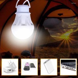 Portable Lanterns USB Mobile Power LED Bulb Outdoor Camping Light Emergency