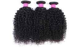 High Quality Brazilian Virgin Human Hair Curly 3 Bundles Natural 1B Colour Indian Peruvian Malaysian Hair Extensions Weaves2181908