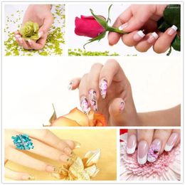 Nail Gel 30ml Extension Is Painless Safe And Reliable Natural Ingredients Are Quick Dry To Use TSLM2