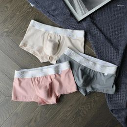 Underpants Youth Simple Boxer Shorts For Men's U Convex Pouch Underwear Cotton Breathable Panties Gays Sexy Tight Fitting Sporty