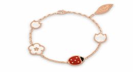 Series dybug Fashion Clover Charm Bracelets Bangle Chain High Quality S925 Sterling Silver 18K Rose Gold for Women&Girls Wedding Mother's Day Jewellery Gift4308190