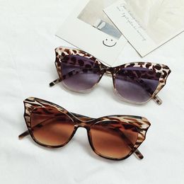 Sunglasses Vintage Cat Eye Women Brand Designer UV Protection Sun Glasses Fashion Luxury Gradient Eyeglasses Travel Accessories