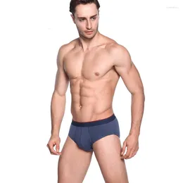 Underpants Sexy Underwear Men Brand Briefs Shorts Man Breathable Pouch Cueca Calzoncillos Marca